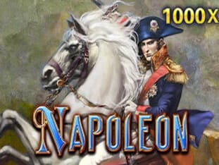 Napoleon game icon